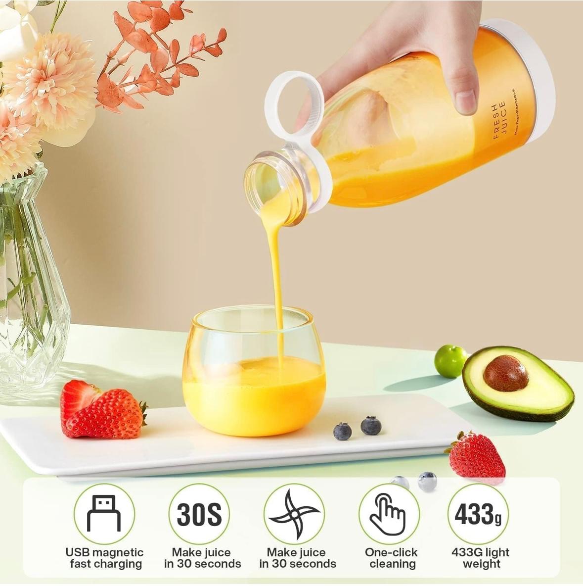 Portable Juicer Blender | StangKart